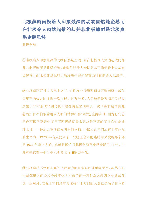 北极燕鸥南极给人印象最深的动物自然是企鹅