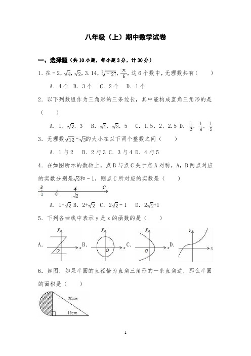 八年级(上)期中数学试卷(含解析答案)