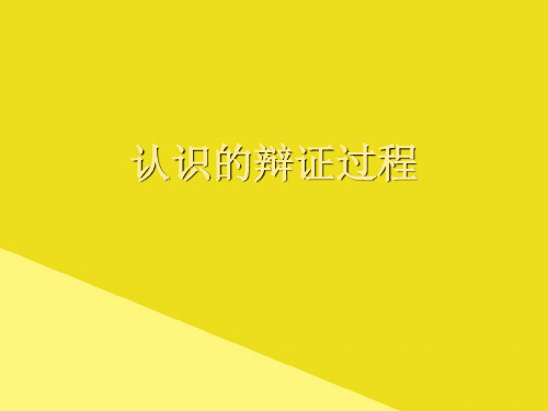 认识的辩证过程PPT资料(正式版)