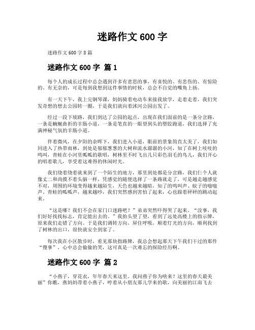 迷路作文600字