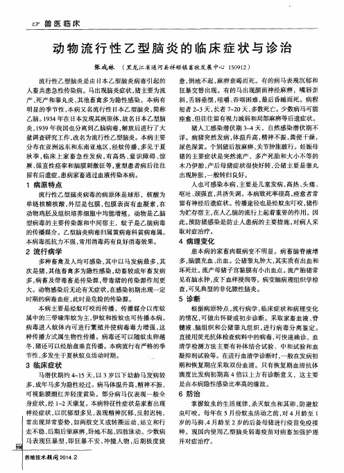动物流行性乙型脑炎的临床症状与诊治