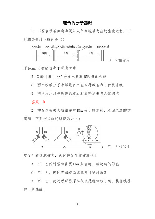 2022年高考生物冲刺专题练习卷：遗传的分子基础