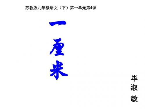 九年级下册《一厘米》课件(42张PPT)
