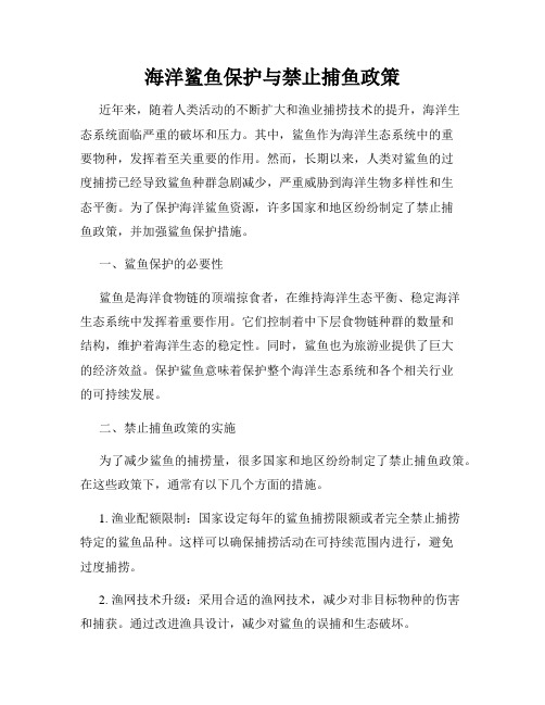 海洋鲨鱼保护与禁止捕鱼政策