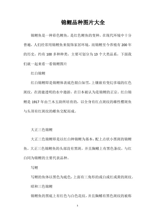 锦鲤品种图片大全