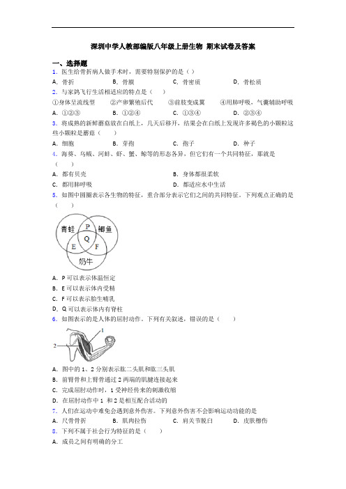 深圳中学人教部编版八年级上册生物 期末试卷及答案