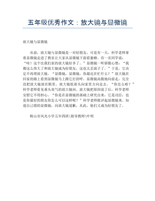 五年级优秀作文：放大镜与显微镜