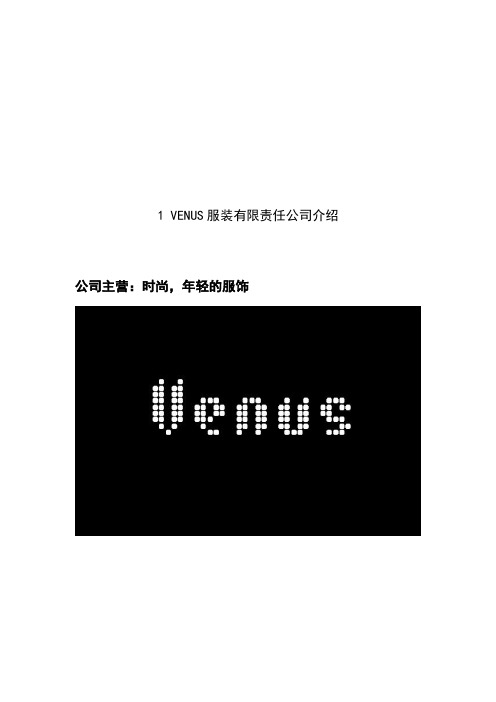 销售策划wiene公司