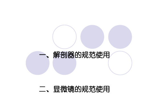 中学生物学实验的常用工具ppt1