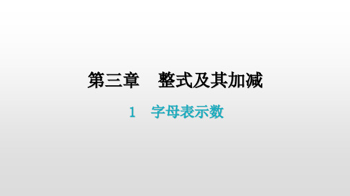 3.1字母表示数-北师大版七年级数学上册课件(共16张PPT)
