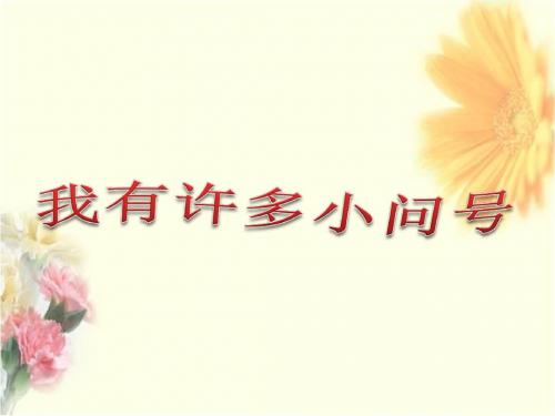 《11 我有许多小问号》课件