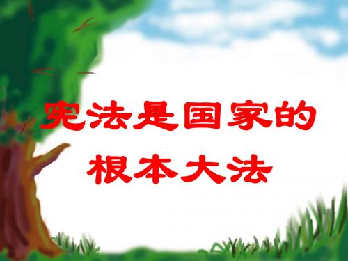 宪法是国家的根本大法1