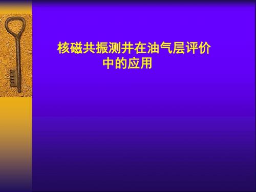 核磁共振测井在油气层评价的应用