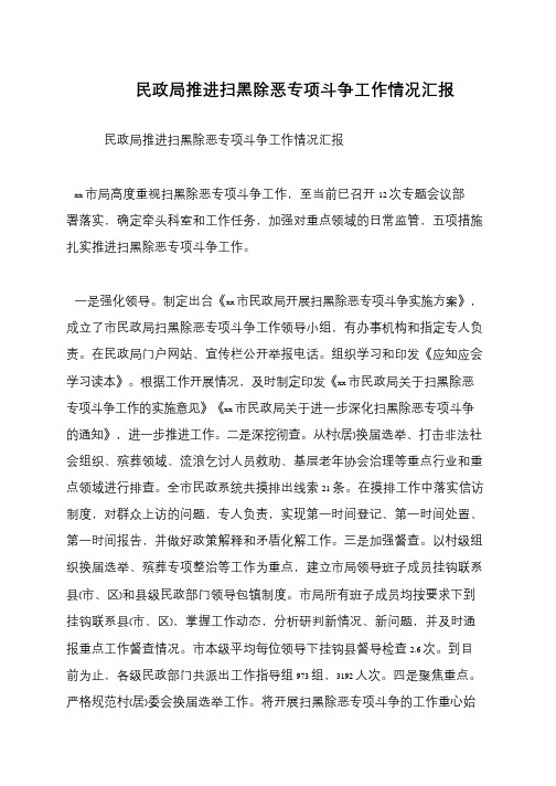 民政局推进扫黑除恶专项斗争工作情况汇报