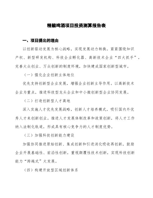 精酿啤酒项目投资测算报告表