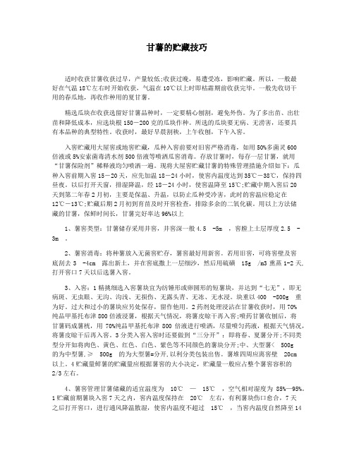 甘薯的贮藏技巧
