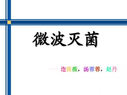 微波灭菌最终定稿