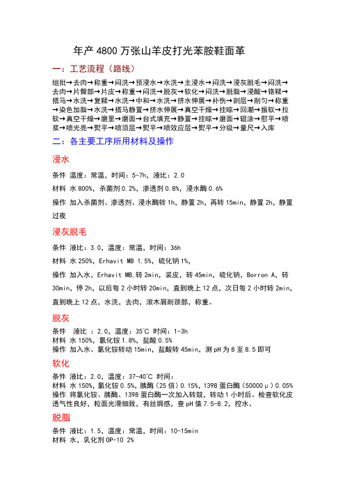 年产4800万张山羊皮打光苯胺鞋面革