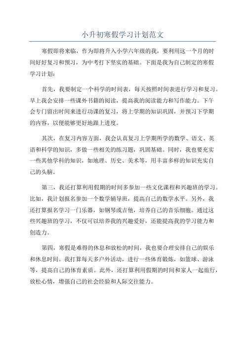 小升初寒假学习计划范文