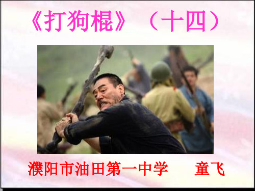 《打狗棍》(十四)