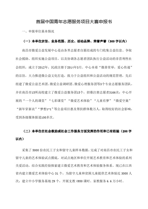 首届中国青年志愿服务项目大赛申报书E路同行伴青少年成长