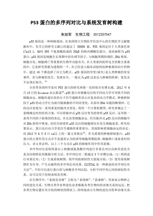 P53蛋白的多序列对比与系统发育树构建