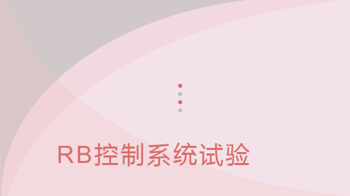 RB控制系统试验