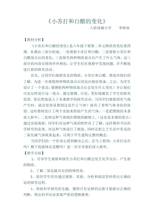 《小苏打和白醋的变化》教案