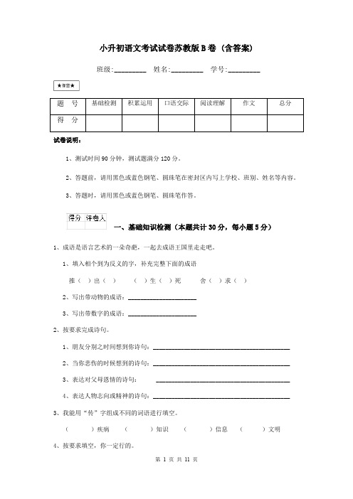 小升初语文考试试卷苏教版B卷 (含答案)