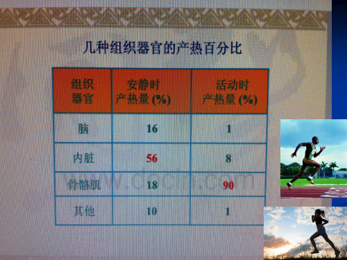 人的体温及其调节资料.