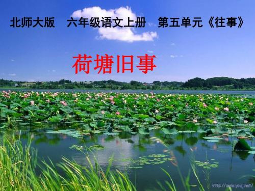 《荷塘旧事》教学课件2
