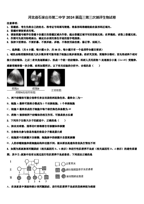 河北省石家庄市第二中学2024届高三第三次测评生物试卷含解析