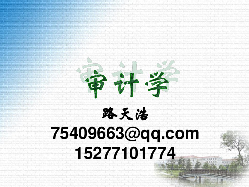 审计课件第一章总论-文档资料