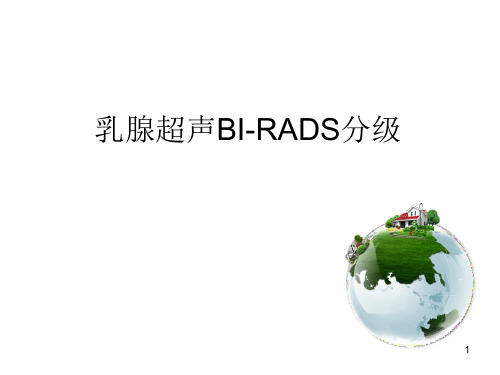 乳腺超声BI-RADS分级(课堂PPT)