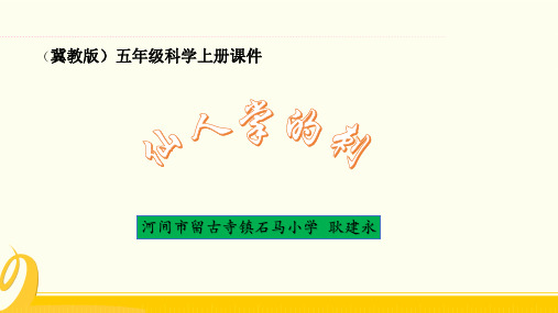 五年级上册科学课件 仙人掌的刺丨冀教版 (共16页)PPT
