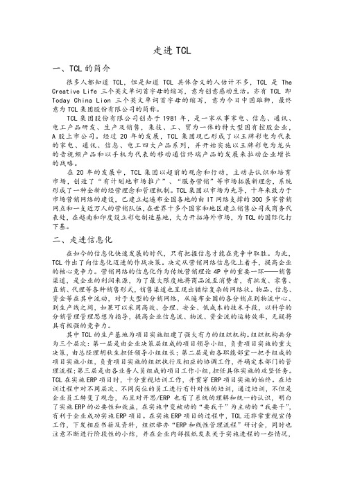 信息化案例报告