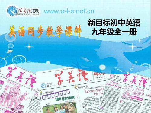 新课标九年级英语unit6SectionBperiod1