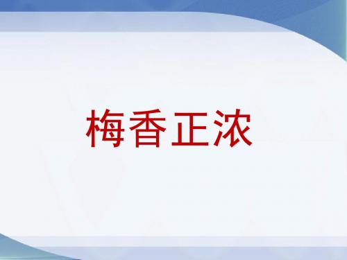 《梅香正浓》课件2.ppt
