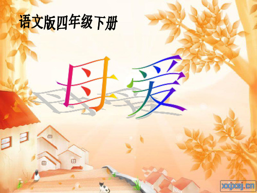 母爱课件.ppt(上课用)