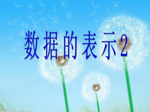 数据的表示(2)