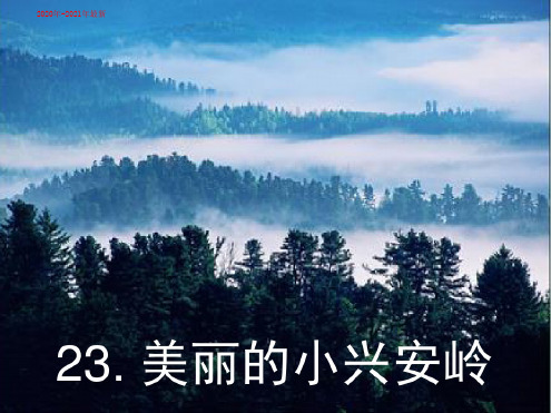 (2020最新)鲁教版小学语文三年级上册《美丽的小兴安岭》ppt课件1