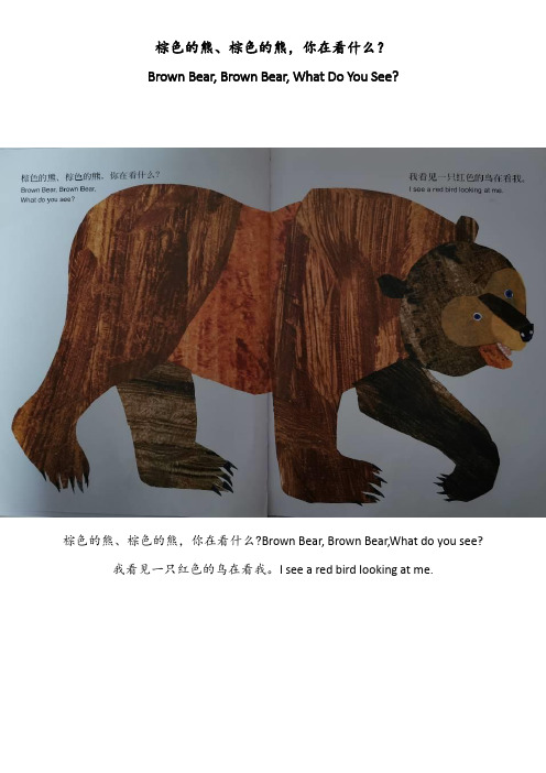 棕色的熊brown bear