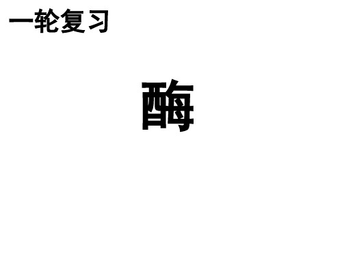 酶的课-件PPT