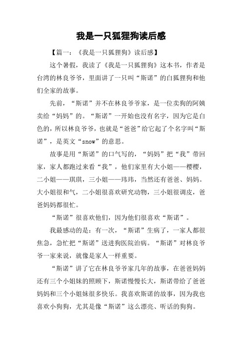 我是一只狐狸狗读后感