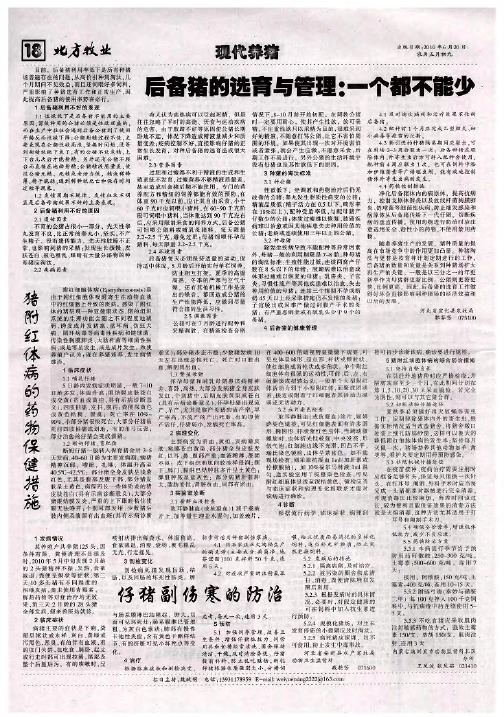 后备猪的选育与管理：一个都不能少