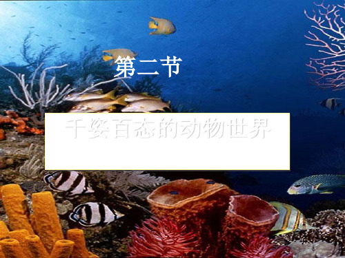 初中生物八上5. 14.2千姿百态的动物世界 课件 (共26张PPT)