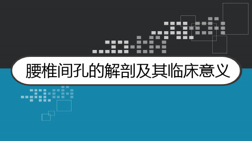 腰椎间孔的解剖及其临床意义 PPT
