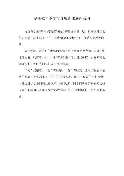 滨湖镇望重学校开展作业展评活动通讯报道