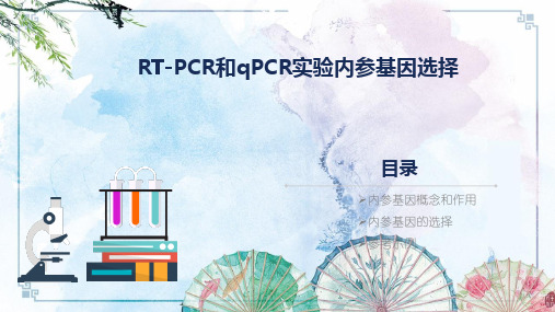 【实验资源】qPCR 内参基因选择