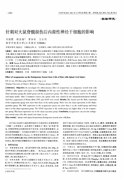 针刺对大鼠脊髓损伤后内源性神经干细胞的影响